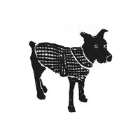BARKA Dog Coat *less than 1m