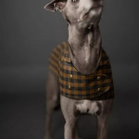 BARKA Dog Coat *less than 1m