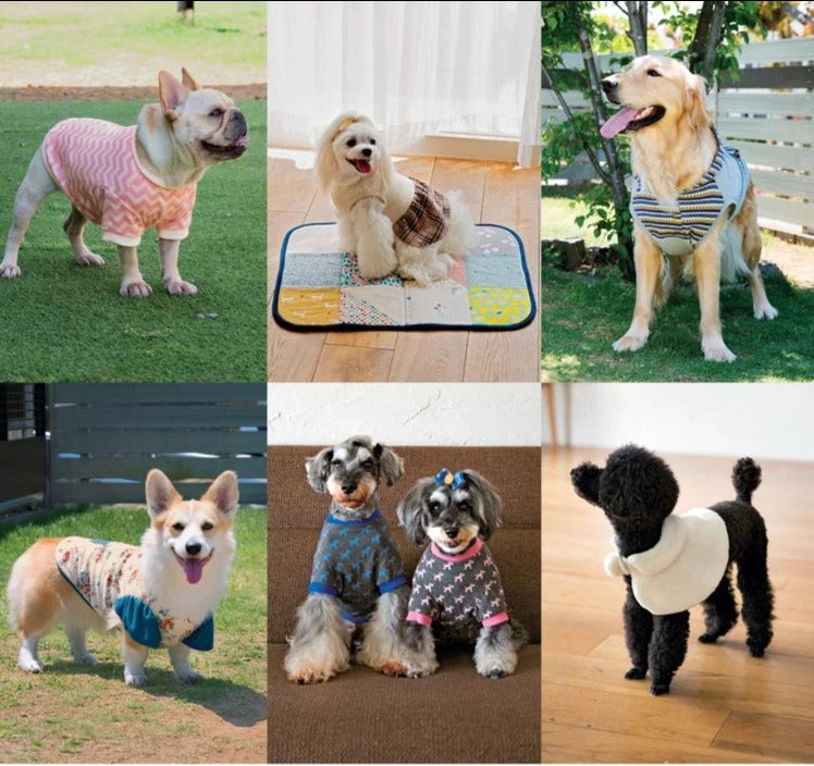 Well-Dressed Dog - T. Kaneko -Pattern Book
