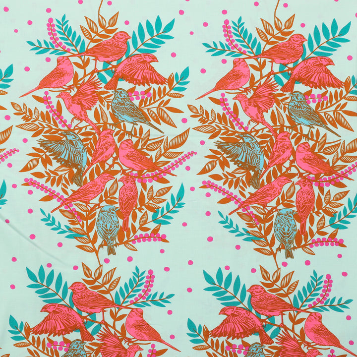 Cotton - Bright Eyes - Visitation - Seafoam