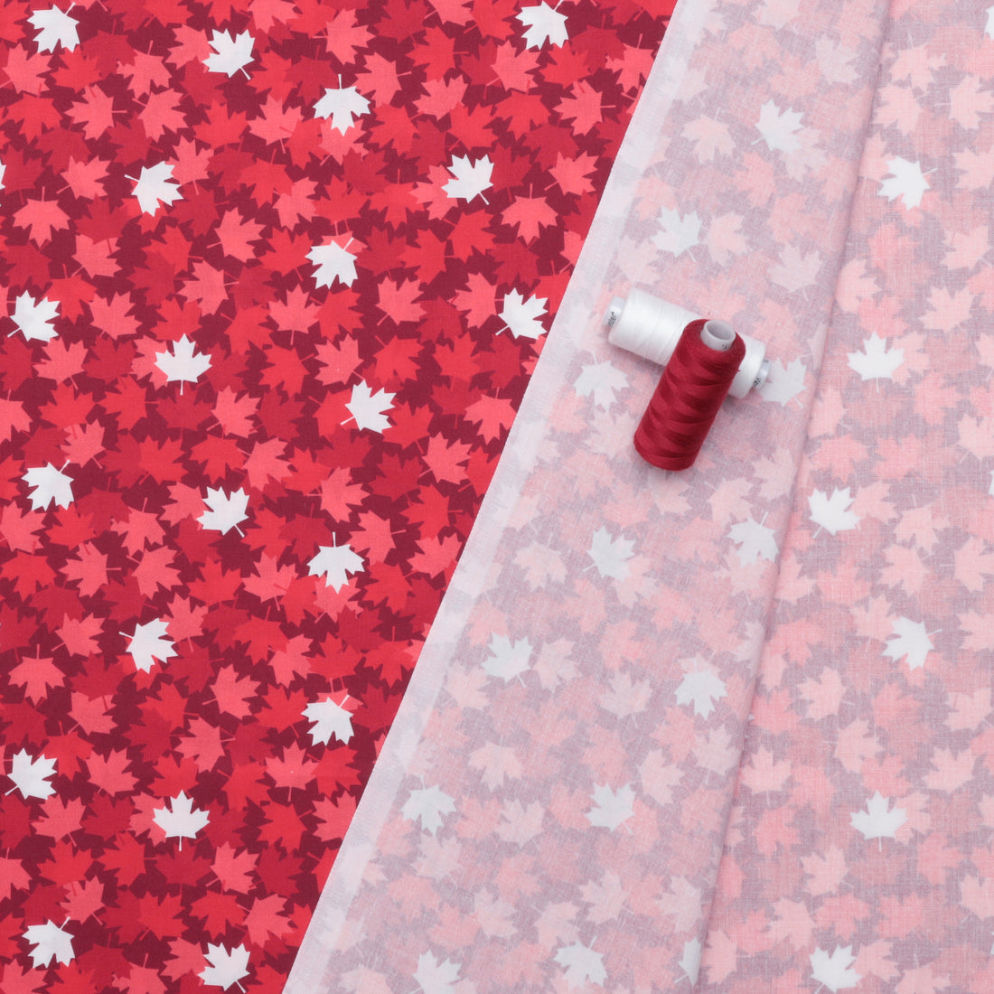 Cotton - Festive Canada - Maple Leaf - Red