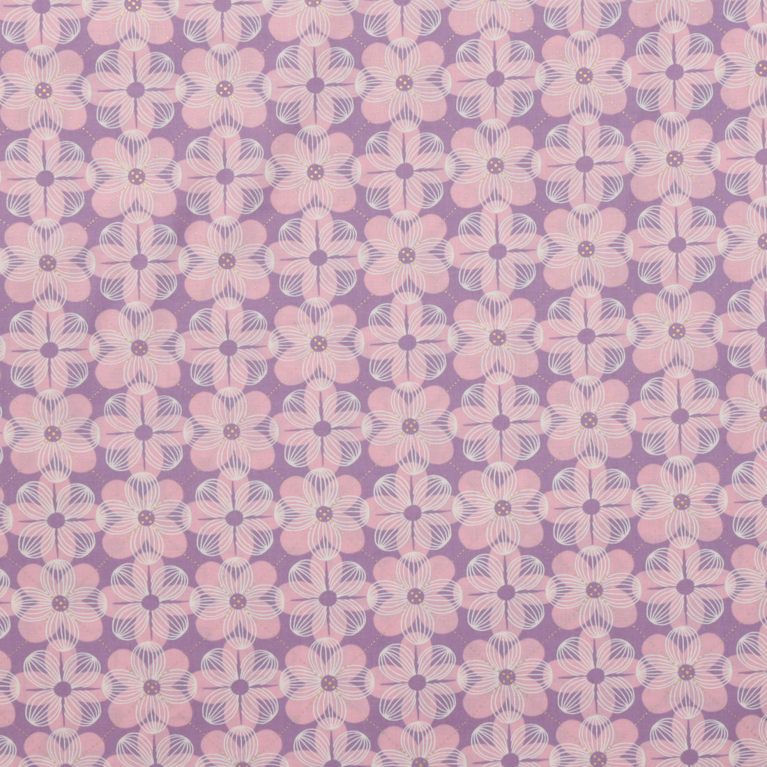 Ruby Star - Cotton - Floradora - Dogwood - Lupine