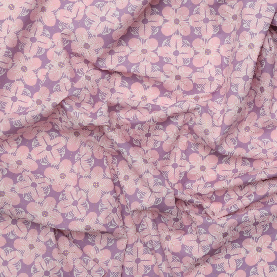 Ruby Star - Cotton - Floradora - Dogwood - Lupine