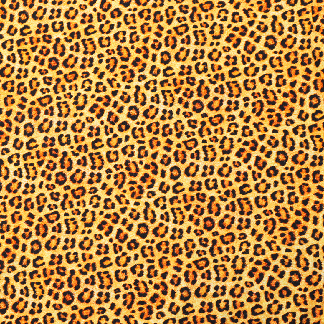 Cotton - Knit - Animal Kingdom - Cheetah