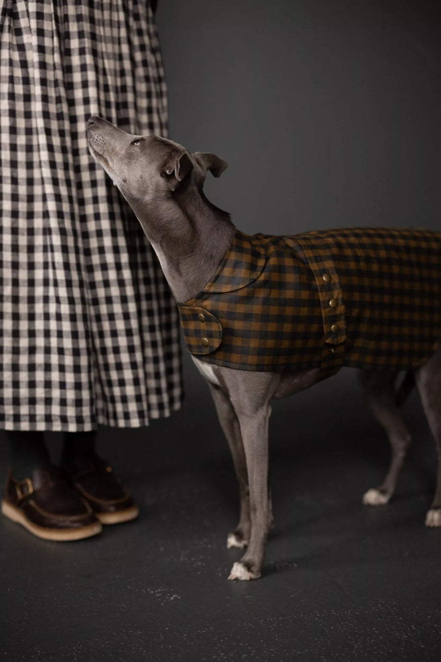 Merchant & Mills - Barka - Dog Coat